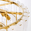 Картинка - Люстра Delight Collection Riveria 13 brass