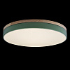 Картинка - Светильник потолочный Loft It Axel 10001/36 Green