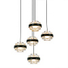 Картинка - Подвесной светильник Delight Collection MD22030002-5A black/clear