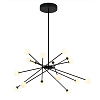 Картинка - Люстра Delight Collection MD19001025-16A black