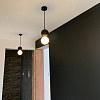 Картинка - Светильник подвесной ImperiumLoft Lilla-Black01 189795-23