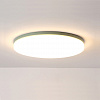 Картинка - Светильник потолочный ImperiumLoft Disc-C01 193132-26
