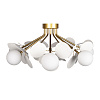 Картинка - Потолочная люстра Loft It Matisse 10008/8C White