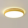 Картинка - Светильник потолочный ImperiumLoft Disc-Dh01 189892-26