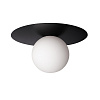 Картинка - Светильник потолочный Loft It Ufo 10120/250C Black