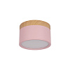 Картинка - Накладной светильник Loft It Grape 10162 Pink