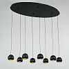 Картинка - Подвесной светильник Delight Collection MD21001034-8A black/gold