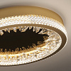 Картинка - Настенный/Потолочный светильник Delight Collection XD-50 gold
