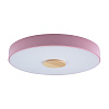 Картинка - Светильник потолочный Loft It Axel 10003/24 Pink