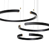 Картинка - Подвесная люстра Loft It Ring 10025/3 Black