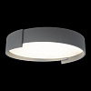 Картинка - Светильник потолочный Loft It Coin 10200 Grey