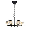 Картинка - Люстра Delight Collection MD21020075-6A matt black