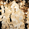 Картинка - Подвесная люстра Loft It Fairytree 10066/1500 GB