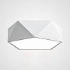Картинка - Светильник потолочный ImperiumLoft Geometric-Bw01 185380-26