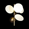 Картинка - Настенное бра Loft It Matisse 10008/1W white