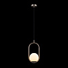 Картинка - Светильник подвесной Loft It Glob LOFT2595-B