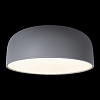 Картинка - Светильник потолочный Loft It Axel 10201/480 Grey