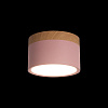 Картинка - Накладной светильник Loft It Grape 10162 Pink