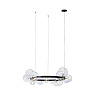Картинка - Подвесная люстра Loft It Molecule 10023/850