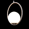 Картинка - Светильник подвесной Loft It Glob LOFT2600-B