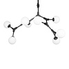 Картинка - Люстра на штанге Loft It Palmira 10191/8 Black