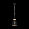 Картинка - Светильник подвесной Loft It Restor LOFT4402A-BL