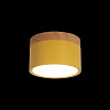 Картинка - Накладной светильник Loft It Grape 10162 Yellow