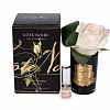Картинка - Диффузор ароматический Rose Bud Pink