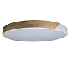 Картинка - Светильник потолочный Loft It Axel 10004/36 White