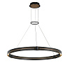 Картинка - Подвесной светильник Delight Collection MD19030068-1C black/gold