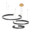 Картинка - Подвесная люстра Loft It Ring 10025/3 Black