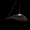 Картинка - Светильник подвесной Loft It Tressage 10127/760 Black