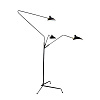 Картинка - Торшер Delight Collection TF8505-3 black