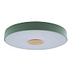 Картинка - Светильник потолочный Loft It Axel 10003/24 Green