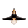 Картинка - Светильник подвесной Loft It Piligrimm LOFT1102