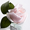 Картинка - Диффузор ароматический Rose Bud French Pink