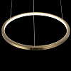 Картинка - Светильник подвесной Loft It Ring 10014S