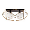 Картинка - Потолочный светильник Delight Collection MX8525-2A gold/black