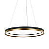Картинка - Подвесной светильник Delight Collection MD21001010-1B black/br.gold