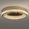 Картинка - Настенный/Потолочный светильник Delight Collection XD-50 gold
