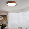 Картинка - Светильник потолочный ImperiumLoft Range03 195540-26