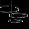 Картинка - Подвесная люстра Loft It Ring 10025/3 Black
