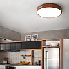 Картинка - Светильник потолочный ImperiumLoft Range03 195540-26