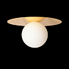 Картинка - Светильник потолочный Loft It Ufo 10120/250C Gold