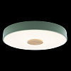 Картинка - Светильник потолочный Loft It Axel 10003/24 Green
