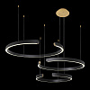 Картинка - Подвесная люстра Loft It Ring 10025/3 Black