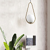 Картинка - Светильник подвесной ImperiumLoft Hoop-Drop01 213738-26