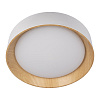 Картинка - Светильник потолочный Loft It Coin 10202 White