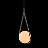 Картинка - Светильник подвесной Loft It Glob LOFT2599-B