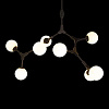 Картинка - Люстра на штанге Loft It Palmira 10191/8 Black